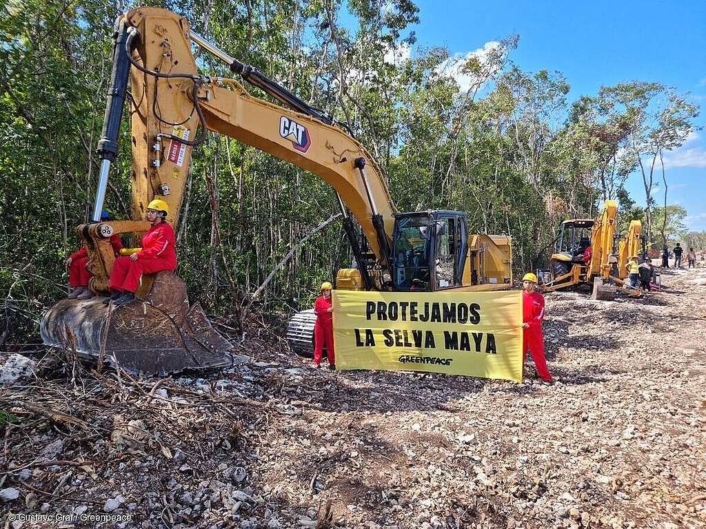 Activistas de Greenpeace protestando en la Selva Maya en contra del Tren Maya