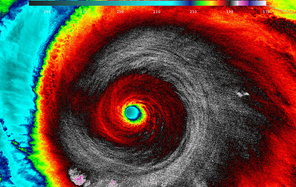 Imagen infrarroja del huracán Patricia
Cuando el satélite Suomi NPP de la NASA-NOAA pasó sobre el huracán Patricia el 23 de octubre a las 5:20 a.m. EDT, el instrumento VIIRS que vuela a bordo del Suomi NPP observó la tormenta en luz infrarroja. Las temperaturas de la parte superior de las nubes de las tormentas alrededor de la pared del ojo estaban entre 180K (-135.7F/ -93.1C) y 190 Kelvin (-117.7F/ -83.1C).