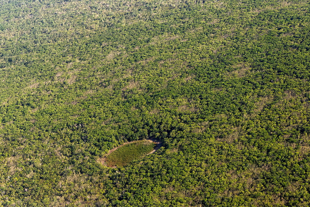 Vista aérea de la Selva Maya