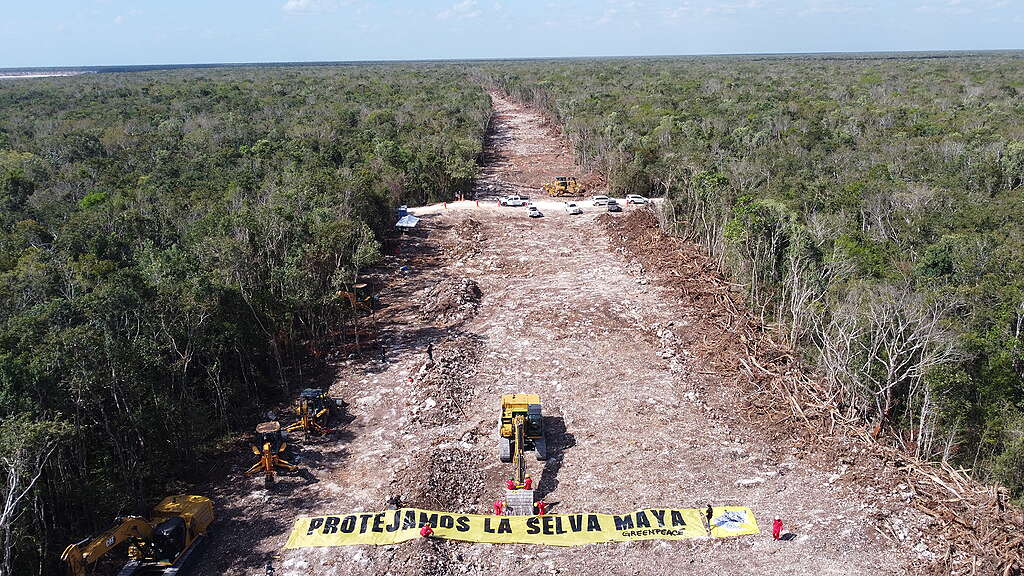 Acción en la construcción del Tren Maya en México
Activistas de Greenpeace México y representantes de otros grupos y organizaciones detienen simbólicamente las obras que se realizan en el tramo 5 del Tren Maya que va de Cancún a Tulum.