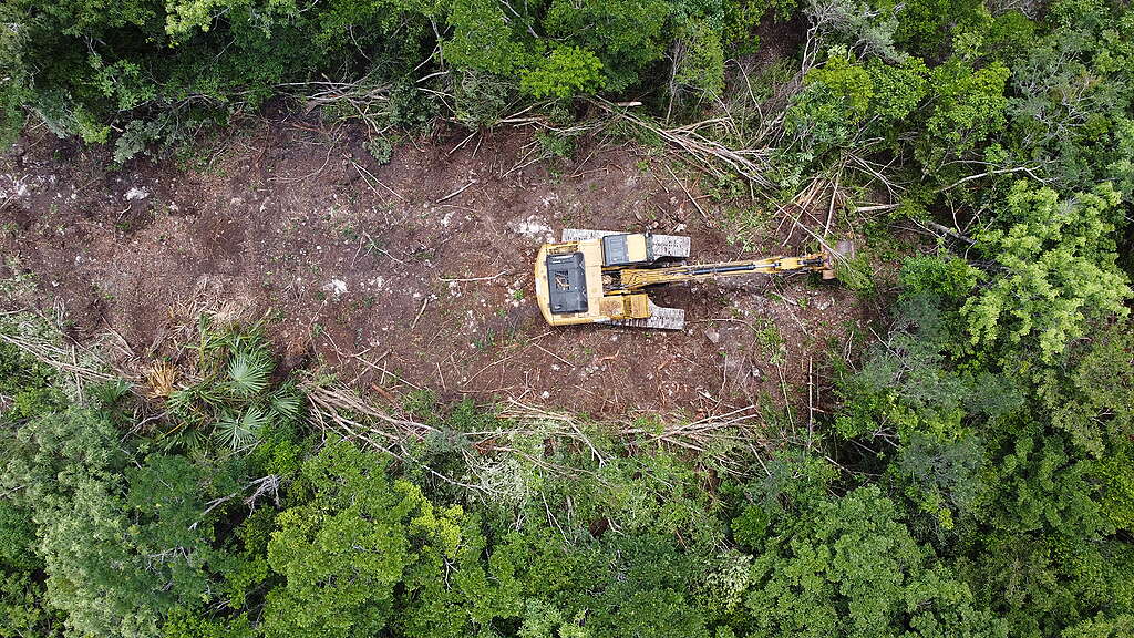 Acción tren maya 18/07/22 
Después de haber suspendido las obras del tren maya, FONATUR, reanuda las obras, sin tener los documentos necesarios de impacto ambiental que respalden dicho proyecto afectando la el ecosistema del la región.