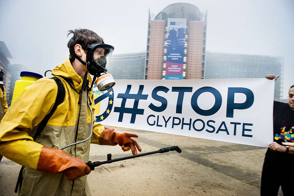 Glifosato: herbicida peligroso para nuestra salud l Greenpeace - Greenpeace  México