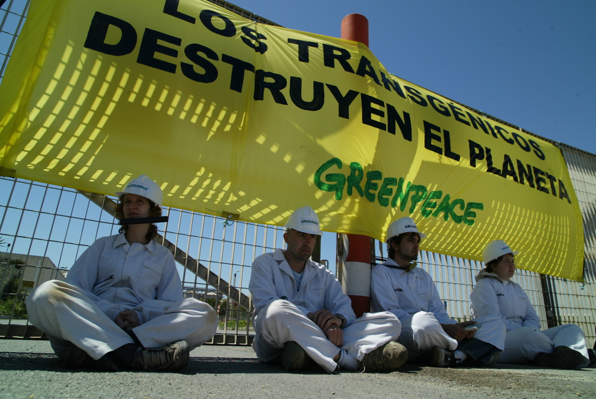 Activists Lock Themselves to Gate of Soya Processing Facility. © Greenpeace / Kate Davison