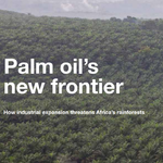 De nieuwe grenzen van palmolie