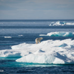 Obama weert oliebedrijven permanent uit Noordpoolgebied