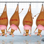CETA bedreigt de Europese voedsel- en landbouwstandaarden