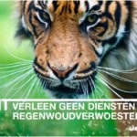 Greenpeace voert actie in Amsterdam voor bescherming regenwoud
