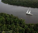 14,8 miljoen voor Hivos en Greenpeace om ontbossing Amazone te stoppen