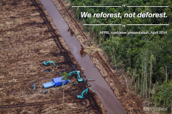 April Topeng Ajaib Serangan Deforestasi di Indonesia |  Greenpeace Belanda