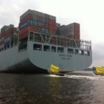 Actie: omstreden walvisvlees verplaatst naar Hamburg