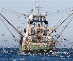 Greenpeace wint rechtszaak over schadelijke visserij in Noordzee