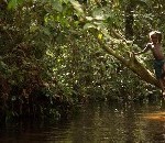 Congolezen roepen de nieuwe minister-president Matata op het bos te redden