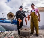 Groener Europees visserijbeleid is een feit