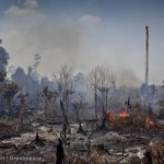 “Indonesische bosbranden eisten in 2015 ruim 100.000 levens”