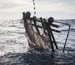 Lokvlot-vissen op de Indische Oceaan