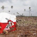 KFC Indonesië schort contract met APP op