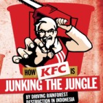 Samenvatting ‘How KFC is junking the jungle’