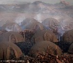 Producenten Braziliaans ruw ijzer zullen regenwoud met rust laten