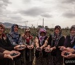 Turkse olijfboeren winnen slag tegen kolenindustrie