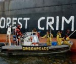 Greenpeace verwelkomt veroordeling beruchte houthandelaar Kouwenhoven