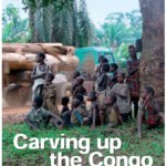 Carving up the Congo – Nederlandse samenvatting