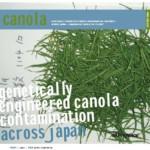 Genetically engineered canola contamination across Japan