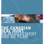 The Canadian Seal Hunt: No Management and No Plan