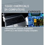 Toxic Chemicals in Computers Exposed