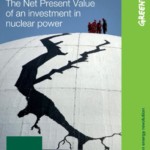 Uncertainty and High Economic Risk: The Net Present Value of an investment in nuclear power