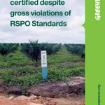 United Plantations certified despite gross violations of RSPO standards