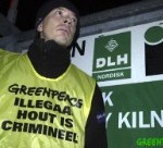 Greenpeace vindt in Vlissingen hout van illegale houtkappers