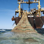 Greenpeace in actie tegen Nederlandse reuzenschepen voor West-Afrikaanse kust