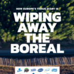 Wiping away the boreal