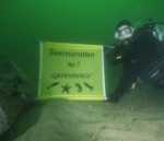 Greenpeace vraagt Verburg bescherming van de Noordzee