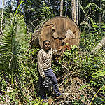 Illegale houtkapinvasie brengt inheemse bevolking Amazone in gevaar