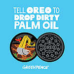 Hoe Oreo regenwoud laat kappen voor palmolie