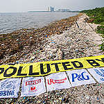 Freedom Island Waste Clean-up and Brand Audit in the Philippines. © Biel Calderon
