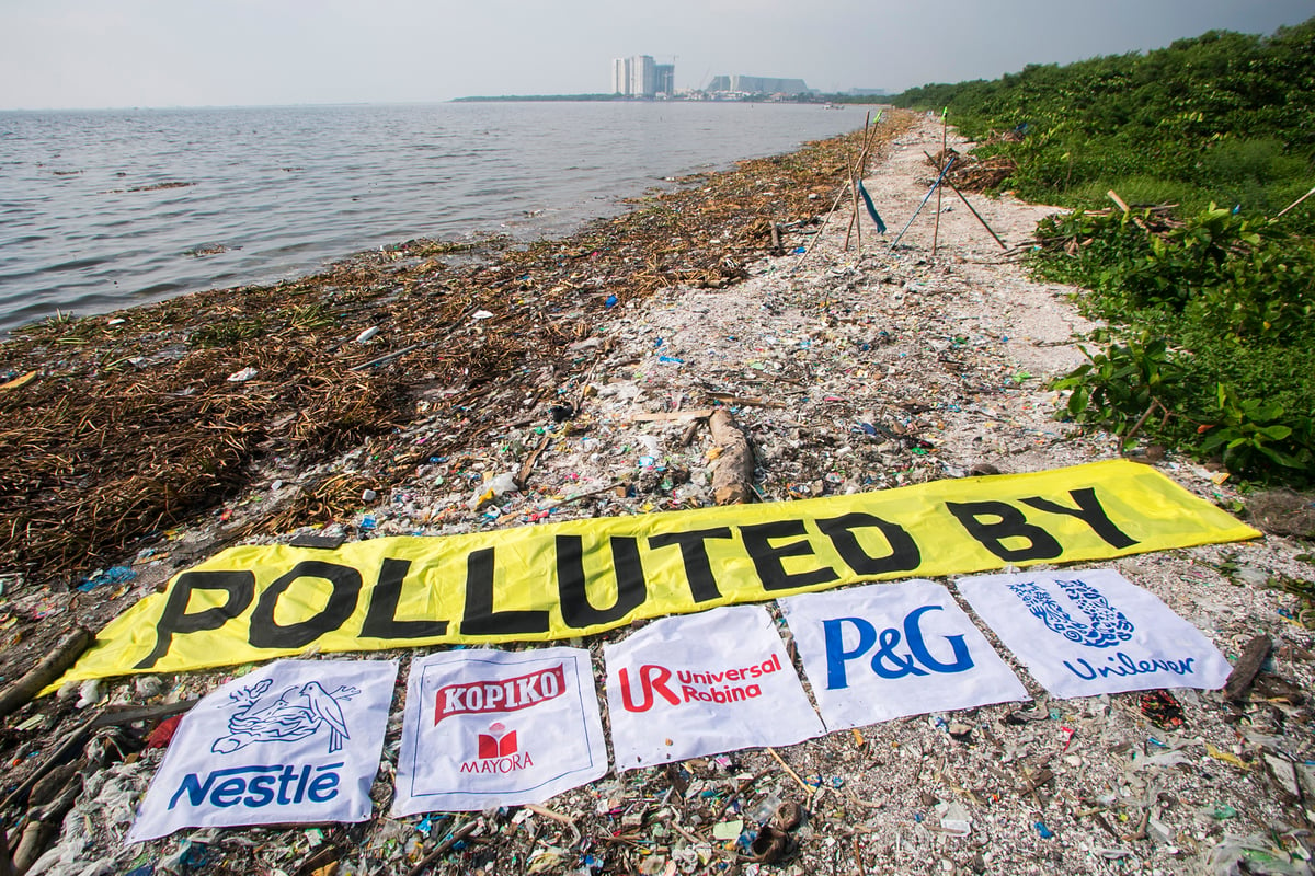 Freedom Island Waste Clean-up and Brand Audit in the Philippines. © Biel Calderon