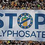 Europese landen staan onkruidgif glyfosaat weer vijf jaar toe