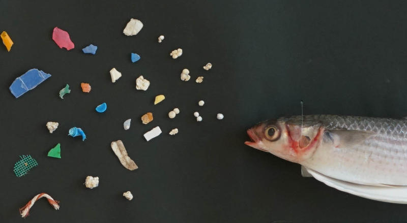 Microplastics gevonden in vissen bij een onderzoek in Hong Kong.