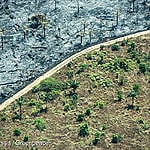 Brief – Ontbossingsvrije ketens: tijd voor wetgeving