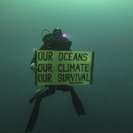 Diver with a banner, 25 meters deep