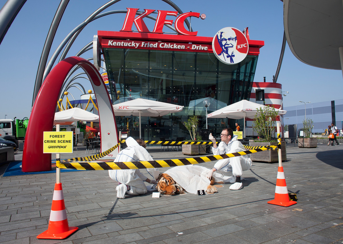 KFC 'Crime Scene' in the Netherlands. © Greenpeace / Bas Beentjes