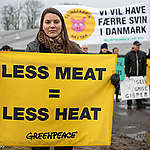 Onderzoek Greenpeace: vleestaks voordelig voor zowel het klimaat als portemonnee Nederlander