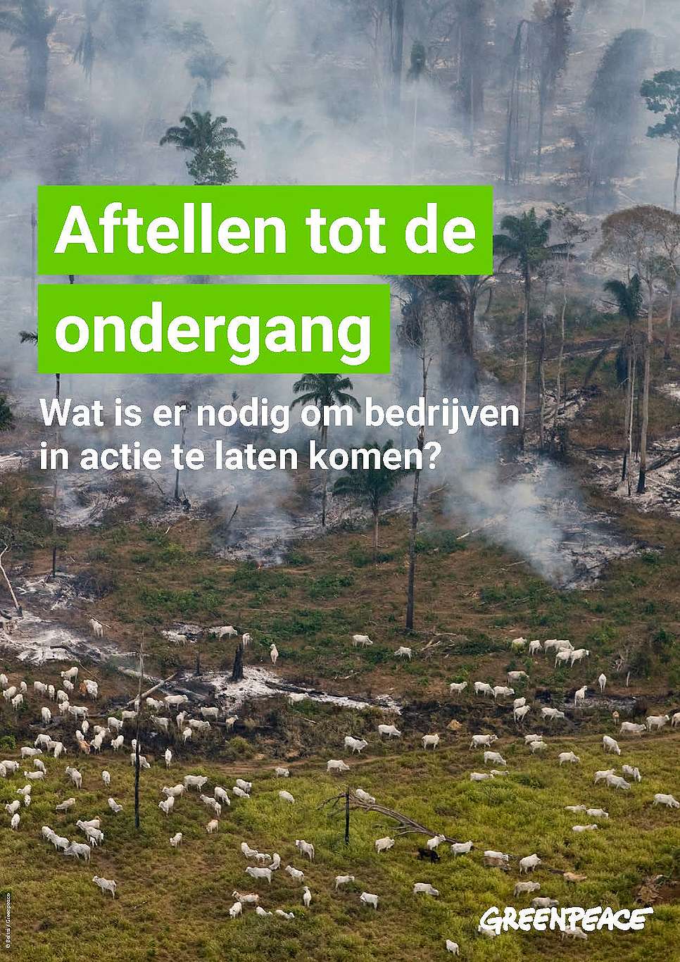 Het Broeikaseffect Dit Zijn De Meest Gestelde Vragen Greenpeace Sexiz Pix