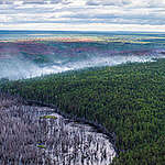 Reactie: recorduitstoot door bosbranden Siberië