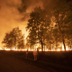 Greenpeace reist door Nederland met fototentoonstelling over bosbranden