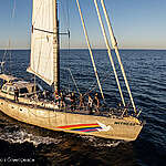 The civil society organisation, Whale Conservation Institute (ICB) and Greenpeace, aboard the SY Witness, a Greenpeace sailboat,  tour around the area of the Argentine Sea where the oil industry plans to carry out seismic explorations, off the coast of Buenos Aires, Río Negro and Chubut.
The Greenpeace ship toured for a week in the  North Argentina basin, where the area is awarded to the oil industry.
The Argentine Sea serves as the feeding ground and a migratory path of the Southern Right Whale and  plays a natural importance especially for emblematic species of Argentine biodiversity.