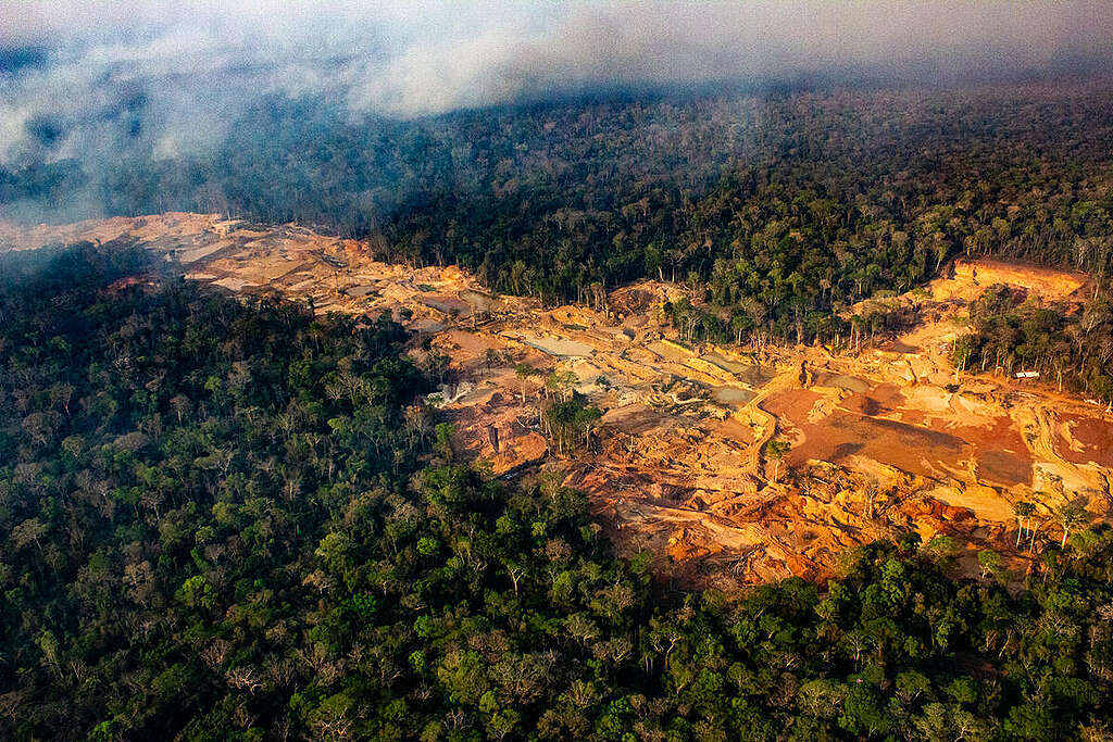 Illegal Mining in the Sararé Indigenous Land in the Amazon. © Fabio Bispo / Greenpeace