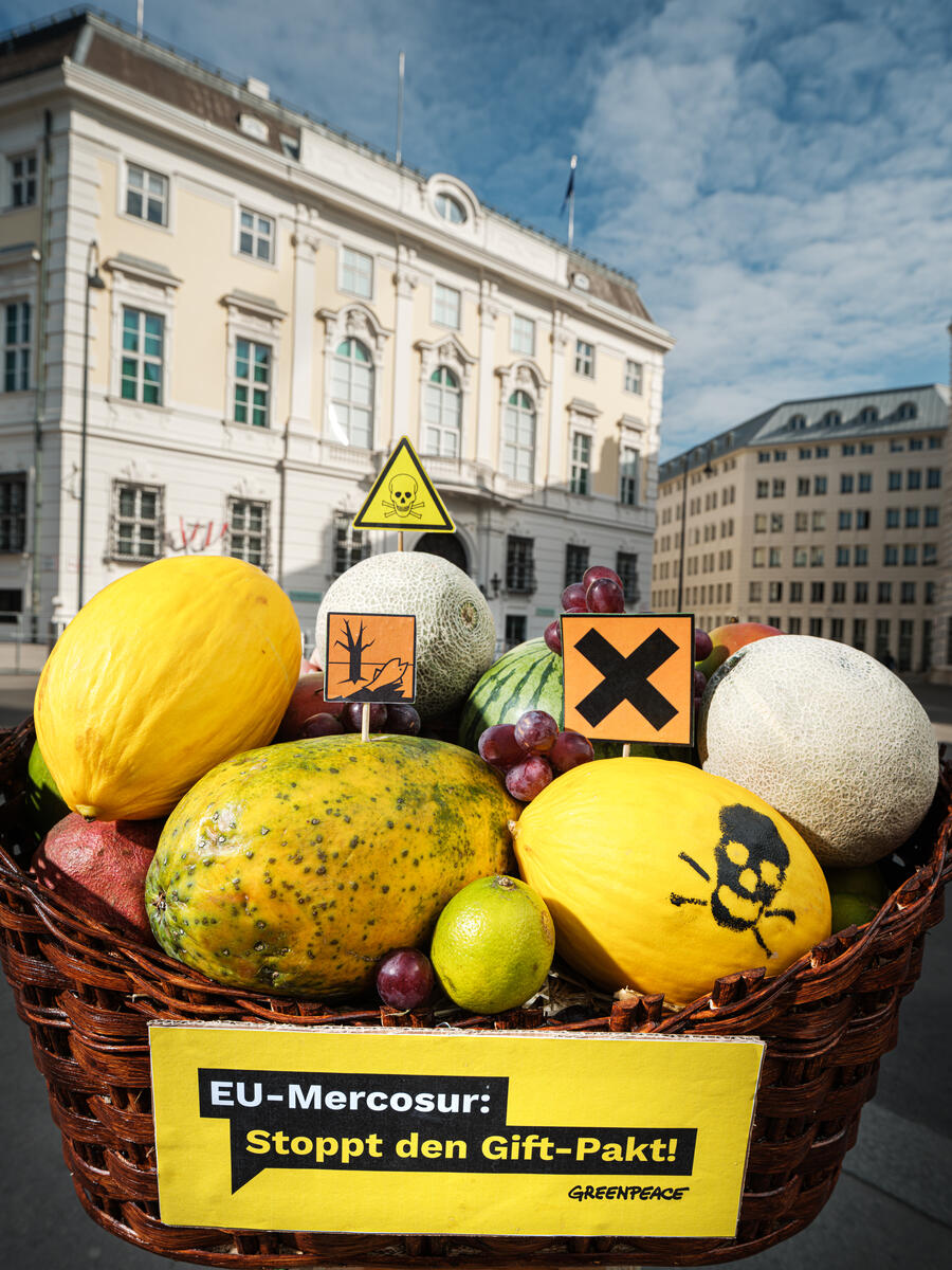 Protest against Mercosur Trade Agreement in Vienna. © Mitja  Kobal / Greenpeace